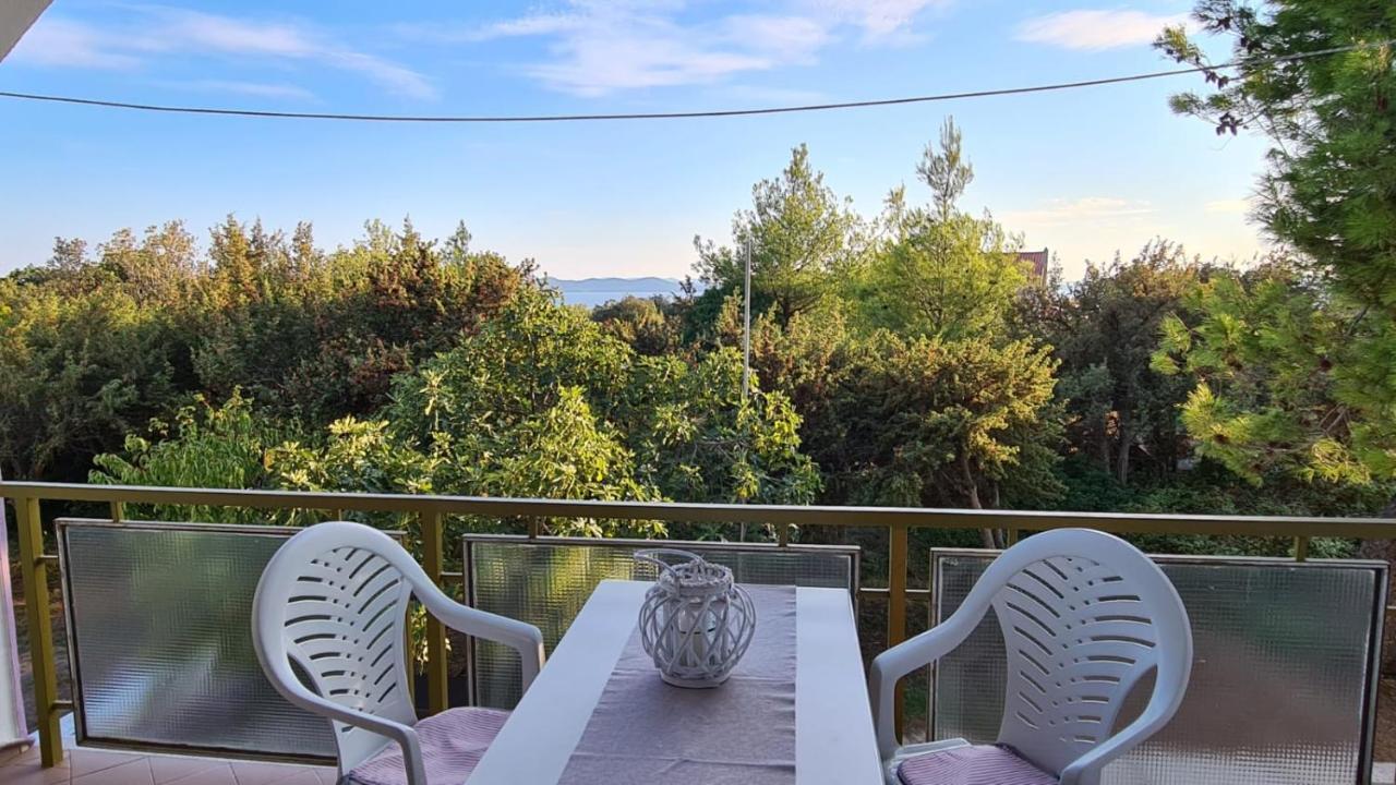 Apartmani Jelena Petrčane Exterior foto